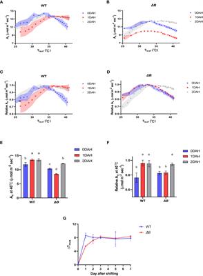 Deficiency in NDH-cyclic electron transport retards heat acclimation of photosynthesis in tobacco over day and night shift